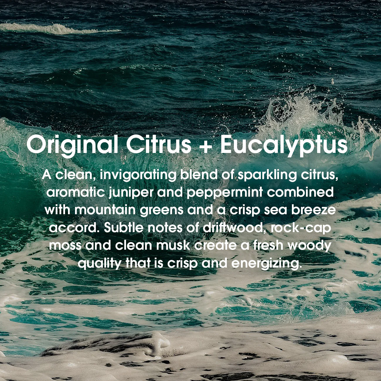 Aquatic Cologne Bundle - Image 3